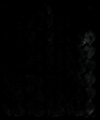 Dunlop Nylon Max Grip 1,14 72 Pack