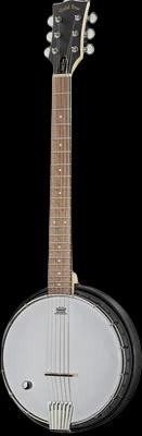Gold Tone AC 6+ Lefthand