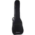 Ovation gig bag for Ovation acoustic bass guitar