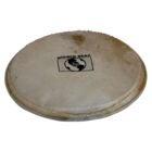 Latin Percussion WB505C Replacement Head for Wb505 12″