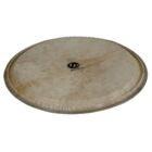 Latin Percussion LP960 Galaxy Djembe Head, 14″