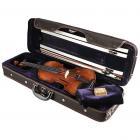 Leonardo LV-5044 4/4 Violin with Case, Bow and Rosin
