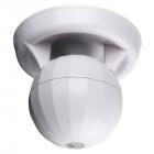 DAP SS-306 2-Way Ball-Shaped Speaker, 30 Watt, 6-inch, 100V