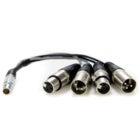 Atomos 10-Pin LEMO to XLR Break-Out Cable for Shogun Recorders