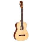 Ortega R121G Family Series Full-Size Guitar Natural Classical Guitar with Gig Bag