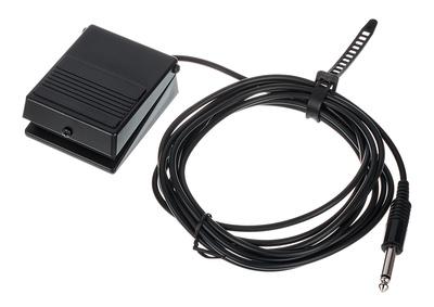 Roland DP 2