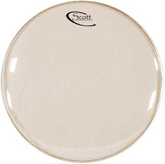 Scott 10" Banjo Head White"