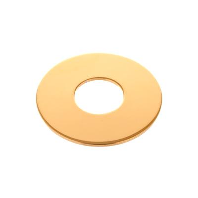 Schaller Toggle Switch Plate G