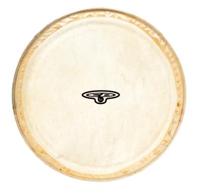 LP CP221A Bongo Head 6""