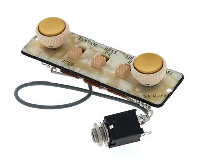 Höfner Switchpanel HA2B-PC