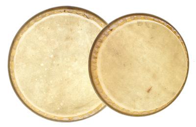 Millenium Bongo Skins for MB202