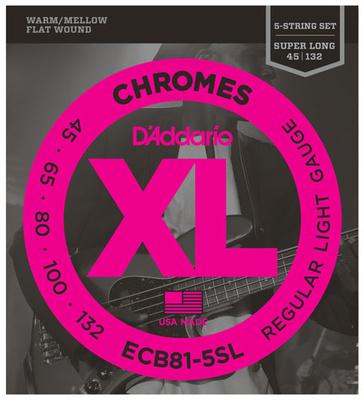 Daddario ECB81-5SL