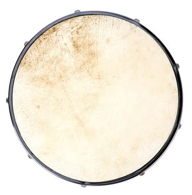 Sonor CGRHN10 Natural Head