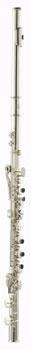 Thomann AFL-300CS Flute