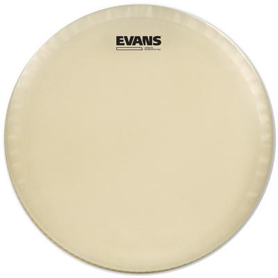 Evans 14" Strata Staccato 700"