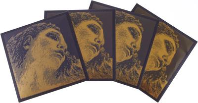 Pirastro Evah Pirazzi Gold G-Gold LP