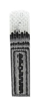 Harry Hartmann Fiberreed Carbon Classic Soprano S
