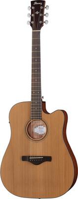 Ibanez AW65ECE-LG