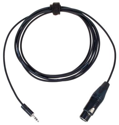 Cordial CPM 3 FW BAL