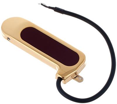 DeArmond Rhythm Chief 1000 GD