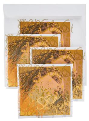 Pirastro Evah Pirazzi Slap Strings Set