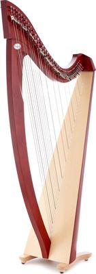 Salvi Titan Mahogany Spario Biocarb.