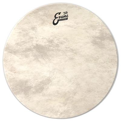 Evans 16" Calftone Bass / Tom"