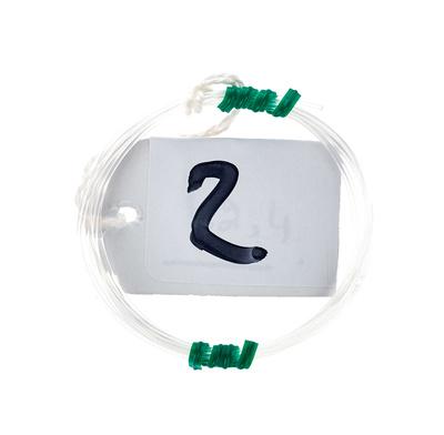 Roth & Junius Lever Harp String No. 02