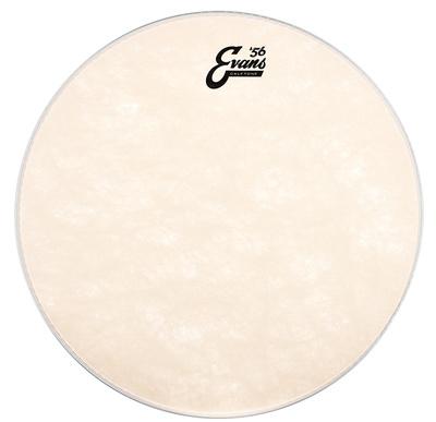 Evans 16" Calftone Tom"