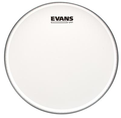 Evans 12" UV1 Coated Tom"