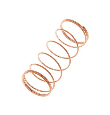 Thomann Valve Spring A376 15,8x35,5