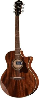 Ibanez AE245-NT