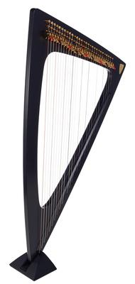 Salvi Delta Electric Harp Ebony