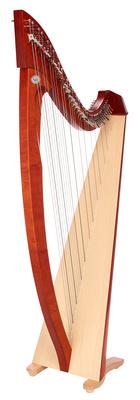 Salvi Titan Cherry Gut Strings