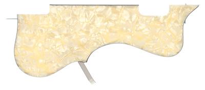 Höfner Pickguard H65/36-CB