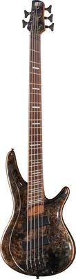 Ibanez SRMS805-DTW Workshop