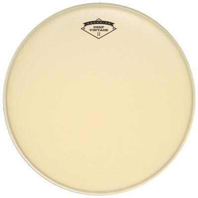 Aquarian 10" Deep Vintage II Coated"