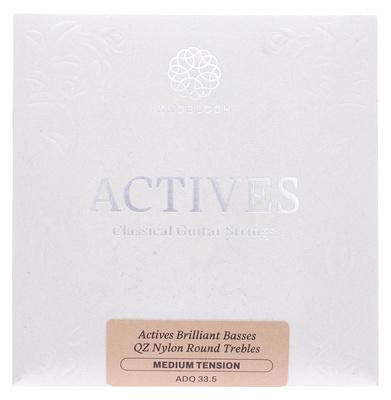 Knobloch Strings ADQ33.5 (300ADQ)