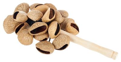 Terre Stickshaker Pangi Seeds