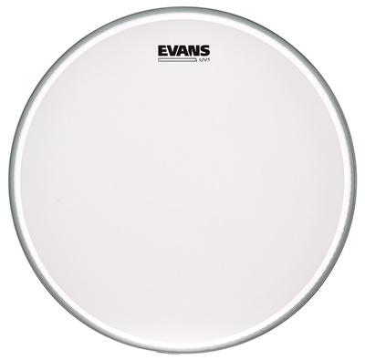 Evans 16" UV1 Coated Bass"