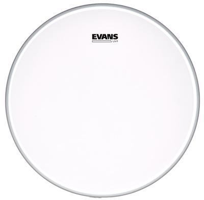 Evans 18" UV1 Coated Bass"