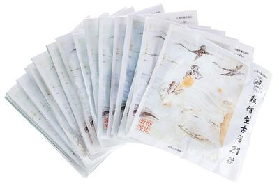 Thomann GuZheng Pro-Level Strings Set