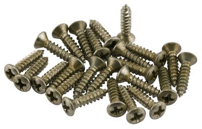 Fender Roadworn Pkgrd Plate Screws