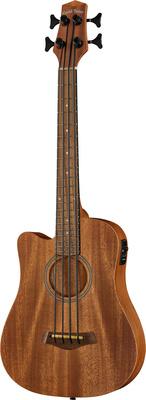 Gold Tone Micro Bass 23 w/Bag LH