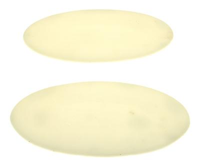 SkyGel Kick Stixxer Damper Pads White