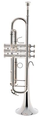 B&S 3137/2-S PCL Philip Cobb