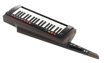 Korg RK-100S 2 Black