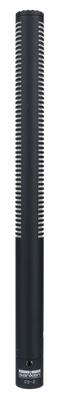 Sanken CS-2