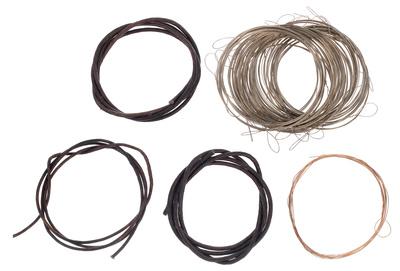 Thomann Nataraj Sarangi Strings Set
