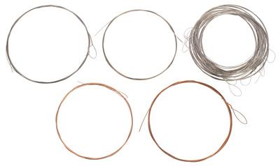Thomann Nataraj Esraj Strings Set